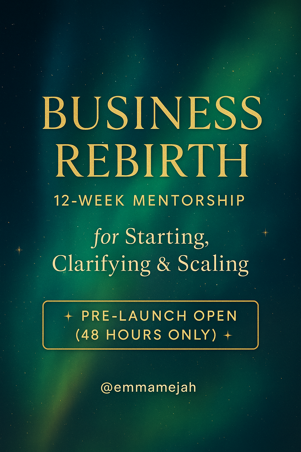 The Business Rebirth - 12-Week Mentorship