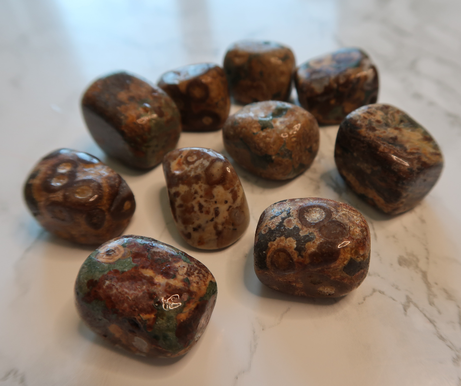 OCEAN JASPER - Joy,  Positivity, Curiosity